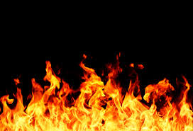 images[3]