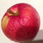 apple wrinkled