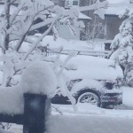 snow1