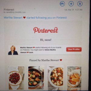 martha steart
