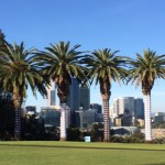 perth palms